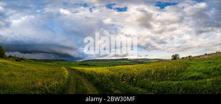 Frühlingsgelb blühende Rapsfelder, Bodenstraße, dramatischer bewölktes Himmel mit kreisförmigen Gewitterwolken und grünen ländlichen Hügeln. Stockfoto