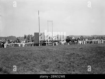 Grand Prix von Frankreich gewonnen von Strip The Willow . Das Grand Prix Rennen in Longchamps wurde von <r A J Duggans Strip The Willow mit Lord Derby 's Satrap zweite und Fog Horn dritten gewonnen. Strip The Willow gewinnt den Grand Prix in Longchamps . 27 Juni 1932 Stockfoto