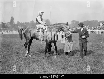 Grand Prix von Frankreich gewonnen von Strip The Willow . Das Grand Prix Rennen in Longchamps wurde von <r A J Duggans Strip The Willow mit Lord Derby 's Satrap zweite und Fog Horn dritten gewonnen. Strip The Willow gewinnt den Grand Prix in Longchamps . 27 Juni 1932 Stockfoto