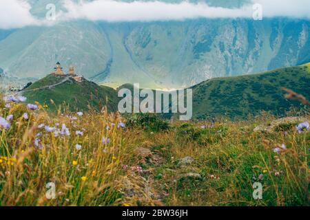 Blumen und die Gergeti Trinity Kirche in den Bergen bei Berg Kazbek, Georgien Stockfoto