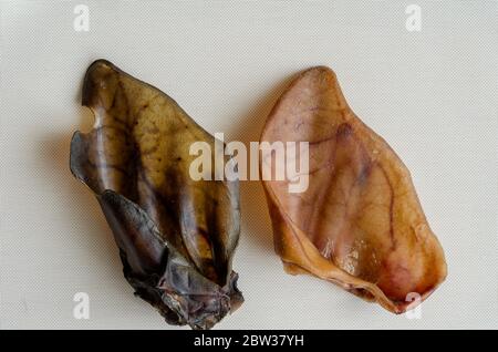 Natürliche getrocknete Kauleckereien für Haushunde. Nahaufnahme von zwei getrockneten Ohren auf weißem, strukturiertem Hintergrund. Rind- und Schweineohr. Haustierbedarf. Stockfoto