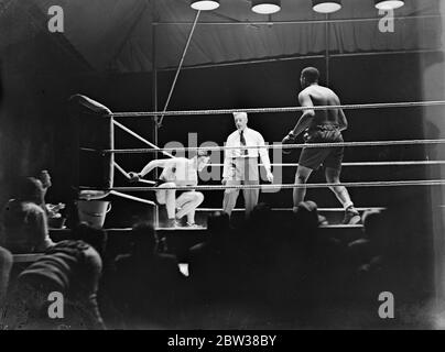 Petersen gewinnt Kampf, behält britischen Schwergewicht Titel. Gewinne wirft in Handtuch in der dreizehnten Runde . Bell spart Gewinne aus knock down . Petersen unten mit Gewinnen stehen weg . 10. September 1934 Stockfoto