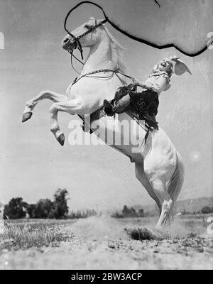 Frank Johnson Taylor, ein bekannter amerikanischer Porträtmaler, verpflichtete sich, Rodeo-Reiterin Miss Ethelyn Dectreaux auf ihrem aufziehenden Pferd "Blondy" in Beverly Hills, Kalifornien, zu malen. Miss Dectreaux posierte in ihrer Rolle als Großmarschall der Feier ihrer Stadt ' Beverly Hills auf Parade '. Das Gemälde ist für die Stadt Beverly Hills. Foto zeigt, Miss Dectreaux posiert auf ihrem aufziehenden Pferd "Blondy". 12 Mai 1934 Stockfoto
