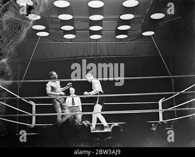 Petersen gewinnt Kampf, behält britischen Schwergewicht Titel. Gewinne wirft in Handtuch in der dreizehnten Runde . Bell spart Gewinne aus knock down . 10. September 1934 Stockfoto