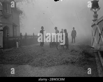 Windsor Park geschlossen wegen Maul- und Klauenseuche Ausbruch. 13. November 1934 Stockfoto