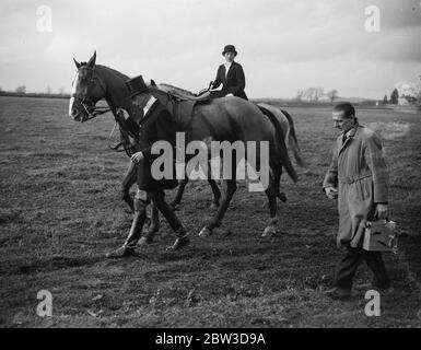 Duke und Herzogin von Gloucester jagen in East Carlton während ihrer Flitterwochen in Boughton Hall, Kettering, Northamptonshire. 13. November 1935 HRH Prinz Henry, Herzog von Gloucester und Lady Alice Montagu Douglas Scott Stockfoto