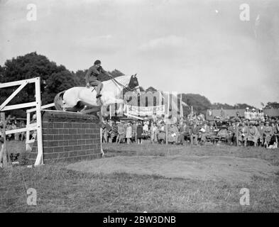 Lady Wright gewinnt einen weiteren Sieg bei Romsey Agricultural Show in Romsey , Hampshire .. . September 1935 Stockfoto