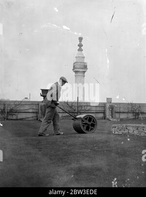 Rollen entlang auf einem Dach London Putting Green . Auf dem Dach eines großen Stadtgebäudes wird eine grüne Walze verwendet. Auf dem Dach ist ein sechzehn Loch Putting Green, die von Büroangestellten in warmem Wetter begünstigt wird. Februar 1935 Stockfoto