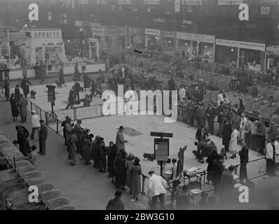 Bei crufts zu urteilen, in der Agricultural Hall, Islington. Februar 1935 Stockfoto