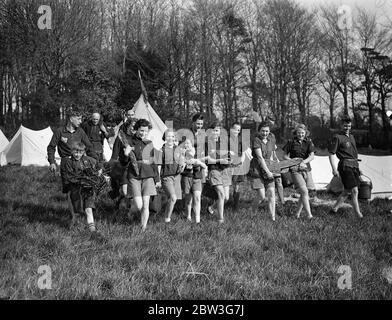 Beste Aufgabe des Tages . Orden der Holzhandwerk Ritterschaft Mitglieder in Sussex, Osterlager. Tragen die malerischen und malerischen Kostüme ihrer Organisation, Mitglieder des Ordens der Holzhandwerk-Chivalry, der Outdoor-Verein für Jugendliche und Mädchen gebildet, haben in Camp in der Nähe von Brighton für Osterferien gegangen. Mitglieder des Ordens sind alle Altersgruppen und kommen aus allen Grafschaften Englands ins Sussex-Lager. Foto zeigt, die junge Müdigkeit Partei bringen in Essen und Holz für das Camp Kochhaus. 11. April 1936 Stockfoto