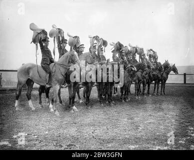 Kavallerie Proben für Royal Turnier . Unsattling ihre Reittiere über atemberaubende Sprünge und die Durchführung der schwierigsten Leistungen mit hervorragenden Reitsport, Troopers der Equitation School in Weedon, Northamptonshire, sind reheasring für die Royal Tournament, die bei Olympia im nächsten Monat eröffnet. Die Männer, die teilnehmen, werden von kleinen Kavallerieeinheiten der britischen Armee gepflückt. Foto zeigt, Trooper nimmt einen Sprung ohne die Hilfe von Steigbügel oder Zügeln. 14. April 1936 Stockfoto