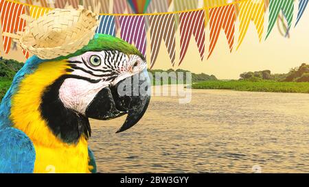 Brasilianische Festa Junina Party Konzept in der Natur. Wilder blauer und gelber Ara mit einem Hügelhut und einigen farbigen festlichen Fahnen. Stockfoto