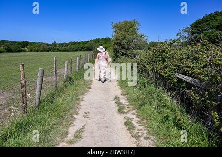 Eastbourne UK 29. Mai 2020 - EINE Frau genießt einen Spaziergang auf einem ausgetrockneten Weg rund um Arlington Reservoir in der Nähe von Eastbourne in Sussex an einem heißen sonnigen Tag während der Coronavirus COVID-19 Pandemie Krise . Dies war einer der trockensten Mai Monate in Großbritannien seit Beginn der Aufzeichnungen. Quelle: Simon Dack / Alamy Live News Stockfoto