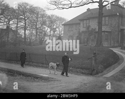 Bishops Avenue, Hampstead, London. Straße der Einbrecher - bewacht von Polizei und Hunden. Ein Polizist und ein Bewohner mit einem riesigen Hund patrouillieren Bishops Avenue . Das Haus ist eines, das vor kurzem ausgeraubt wurde. 10 Februar 1935 Stockfoto