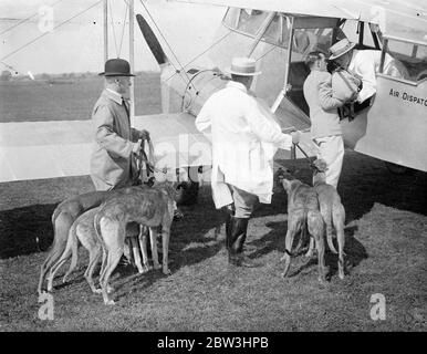 Windhunde, die zum ersten Mal per Flugzeug an die Rennen geschickt wurden. Um bei Manchester Rennen 12 Jahrestag fo das erste Mal Windhunde ging per Flugzeug auf eine Rennstrecke, wenn eine Reihe von Hunden Hafield Aerodrome verlassen, um in der zwölften Jahrestagung im Belle Vue Rennen , Manchester , heute Abend ( Samstag ) . Zwanzig Windhunde, von denen eine Reihe bei der Eröffnung Belle Vue Treffen vor 12 Jahren raste, links in drei Maschinen. Foto zeigt, Greyhounds wird in eine De Havilland DH 89 Dragon rapide für Manchester gehoben. 25 Juli 1936 Stockfoto