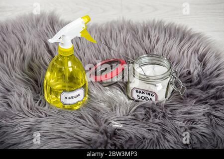 Sprühen Sie die Verdünnung des Weißessigs mit Wasser und Backpulver (Natriumbicarbonat) in ein Glasgefäß. Lange Haare Pelzteppichreinigung und Fleckentfernung. Stockfoto