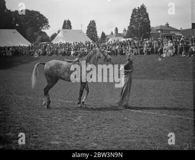 Montiert Sack Rennen in Hayward ' s Heath Gymkhana . Musikstühle, Ballon platzen, Relais und Kartoffelrennen mit allen Konkurrenten auf dem Pferderücken, waren ein Merkmal der montierten Gymkhana auf der Summer Show der Hayward ' s Heath Horticultural Society in Victoria Park, Hayward ' s Heath, Sussex. Foto zeigt, eine Konkurrentin führt ihr Pferd im Sackrennen. Jeder Fahrer muss den Kurs zweimal umrunden, über Hürden bis zum Startposten, in einen Sack steigen und im Mount zum Siegerposten führen. Juli 1936 Stockfoto