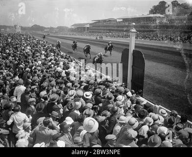 Guinea Gap gewinnt Royal Hunt Cup Guinea Gap , im Besitz von Lady Nuttall , gewann den Royal Hunt Cup in Ascot . Voltus war zweiter und Rosecrag Dritter. Foto zeigt: Das Ziel des Rennens. 17 Juni 1936 Stockfoto