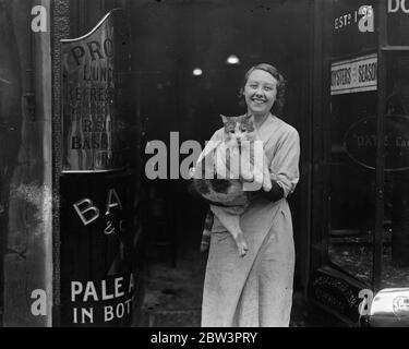 Londons größte Katze aus dem Restaurant Feuer in High Holborn gerettet. Oktober 1935 Stockfoto