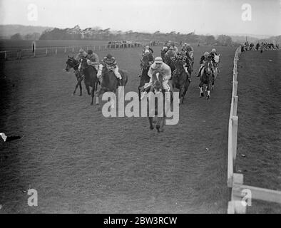 Seine Ehrfurcht gewinnt Stadt und Vorstadt in Epsom. Seine Ehrfurcht, im Besitz von Herrn G F Annesley und geritten von T Burns, gewann die Stadt und Surburban Handicap am zweiten Tag des Epsom Spring Meeting. Guines Gap, im Besitz von Lady Nuttall und geritten von S Wragg war Zweiter mit Rippon Tor, im Besitz von Frau Washington Singer, F F OX bis Dritte. Foto zeigt, der Gewinner, seine Ehrfurcht, die das Feld an der Mile Post. 22. April 1936 Stockfoto