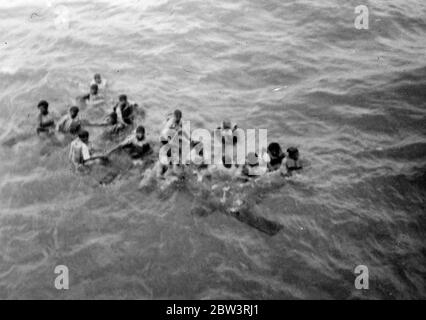 Grafische Bilder der Rettung des britischen Schiffswracks, 43 von amerikanischen Kriegsschiff in den Philippinen abgeholt. Die meisten grafischen Bilder jemals von Rettung auf See gemacht. Sie wurden aufgenommen, als 43 Überlebende des Londoner Dampfer Silverhazel vom amerikanischen Zerstörer USS Peary abgeholt wurden, nachdem das Schiff in zwei auf San Bernardino Island auf den Philippinen in einem Sturm gebrochen war. Die Überlebenden verbrachten zwei Tage und Nächte auf einem wellengefegten Felsen, bevor sie auf improvisierten Flößen entkamen. Frau Neil Williams, eine amerikanische Passagierin, wurde verrückt und wurde vom Felsen gefegt und ertrunken. Die Körper der Kappe Stockfoto