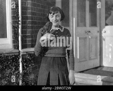 Hampshire Mädchen gelingt es, Eule als Haustier zu halten. Sie rettete ihn von schelmischen Jungen - jetzt ist sie nie zu spät für die Schule. Pete, die braune Eule, mit seiner Herrin Jacqueline Veall. Dezember 1935 Stockfoto