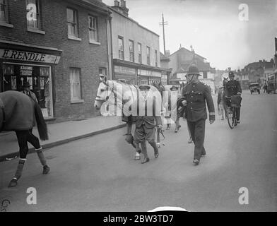 Mahmoud, Derby Sieger, geht nach Hause. Nach der Nacht in Epsom nach seinem Derby Triumph Mahmoud, der Aga Khan ' s siegreichen colt kehrte nach Newmarket. Foto zeigt, Mahmoud führt die Aga Khan ' s andere Derby Läufer, Taj Akbar, und Bala Hissar, wie sie die Durdans in Epsom für Newmarket verlassen. 28 Mai 1936 Stockfoto