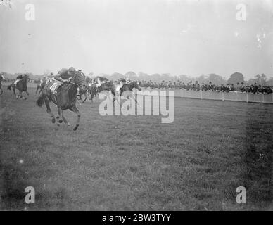 Ipsden gewinnt Stewards-Platte in Kempton. Lady Ludlow ' s Ipsden gewann die Stewards Plate in Kempton Park . Tetrazone wurde Zweiter und Monsaldale Dritter . Ipsden gewann mit drei Längen. Foto zeigt, Ipsden gewinnen die Stewards Platte. Mai 1936 Stockfoto