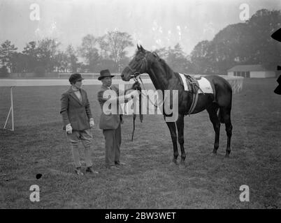 Frau Rainer sieht Haulfryn tune up für morgen ' s Derby . Derby Runners hatten am frühen Morgen Galoppien auf Epsom Downs, um den letzten Schliff zu ihrem Training für das große Rennen morgen setzen , ( Mittwoch ) . Foto zeigt, Miss Wimot, der Trainer, beobachtete Herr F C Minoprio ' s Derby Eintrag Haulfryn während seiner frühen Morgenfahrt in Epsom heute (Dienstag). 26 Mai 1936 Stockfoto