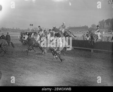 Erster Zaun in Mädchen ' Jäger ' Chase ' bei Sandown Militärtreffen . Der Weiße König, im Besitz von Herrn J Duncans (Schützenbrigade), gewann die Jungfrauenjäger Steeplechase auf dem Grand Military Meeting in Sandown Park. Kildare, im Besitz von Kapitän J R E Banson wurde seco0nd mit Hambletonian II ( Kapitän P D Morrison ) Dritter. Foto zeigt, das Feld unter dem ersten Zaun in der Jungfrauenjäger Steeplechase bei Sandown. 12 März 1937 Stockfoto