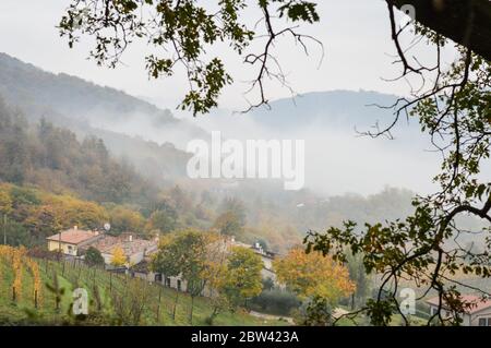 Blick auf die Euganeischen Hügel im Herbst mit Nebel und gelben Weinbergen - in der Nähe von Este, Padua - Venetien Italien Stockfoto