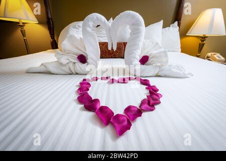 Schwan Handtuch Dekorationen und herzförmige Rosenblätter auf dem Bett in Honeymoon Suite Hotel Zimmer Bett Stockfoto