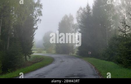 Nebellandschaft mit einer leeren Straßenabbiegung, entlang der Kanten von Baumsilhouetten im Nebel Stockfoto