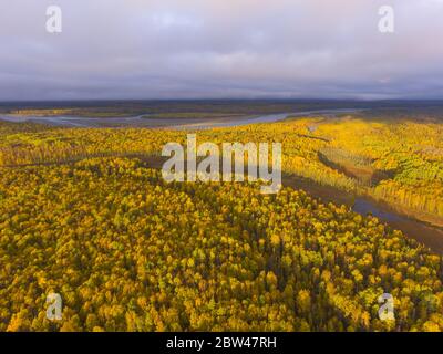 Alaska Route 3 aka George Parks Highway und Alaska Landschaft Luftaufnahme im Herbst mit dem Morgenlicht, im Süden des Denali State Park, USA. Stockfoto