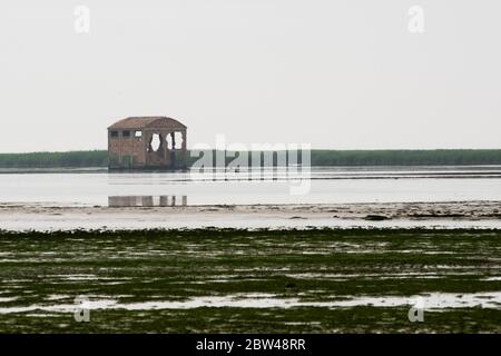 Italien Venetien Delta des Flusses Po Nationalpark - Sacca di Scardovari Stockfoto