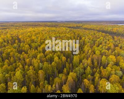 Alaska Route 3 aka George Parks Highway und Alaska Landschaft Luftaufnahme im Herbst mit dem Morgenlicht, im Süden des Denali State Park, USA. Stockfoto