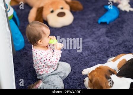 Sweet 1 Jahr alt Baby Mädchen Porträt mit Kautschuk Kauspielzeug in ihrem Zimmer Stockfoto