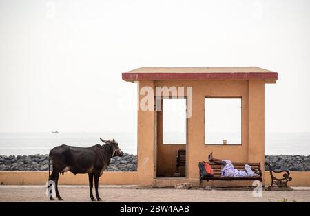 Somnath, Gujarat, Indien - Dezember 2018: Ein Mann macht ein Nickerchen auf einer Bank vor einer Hütte am Meer in der Stadt Somnath. Stockfoto