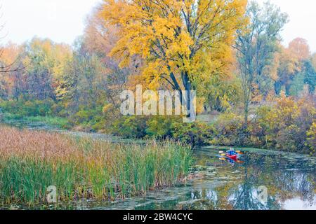 Tapfere Kajakfahrer schwimmen entlang des Herbstflußes Stockfoto