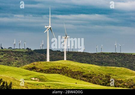 Windturbinen auf dem Windpark Te Apiti, Tararua Windpark in weiter Ferne, über Manawatu Gorge, Saddle Road, Wanganui Region, North Island, Neuseeland Stockfoto