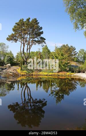 Reflexionen im Wasser in einer wunderschönen Landschaft mit Pflanzen, Blumen, Bäumen, Gärten auf den Inseln außerhalb von Stavanger, Norwegen. Stockfoto