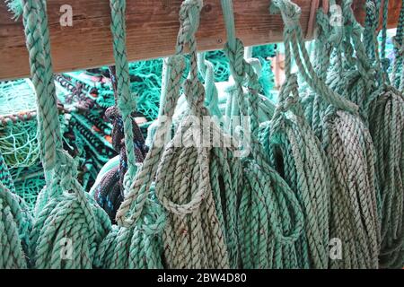 Nahaufnahme von grünem blauem Türkis-Seil Aufhängen auf Holz zum Angeln oder Segeln, Norwegen. Stockfoto