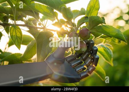 Roboter arbeitet in einem Obstgarten. Digitale Transformation in der Landwirtschaft und Smart Farming Stockfoto