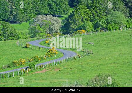 Bergstraße, Tiefland, Puy-de-Dome, Auvergne, Massif-Central Stockfoto