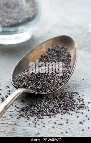 In einem Löffel auf einer grauen Struktur, ein Haufen Mohnsamen sehr genau gesehen. Stockfoto