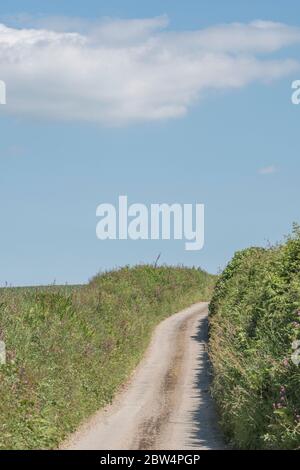 Sonnige Landstraße Cornish verschwindet in der Ferne. Metapher, was um die Ecke liegt, was vor uns liegt, Weg führt ins Unbekannte. Stockfoto