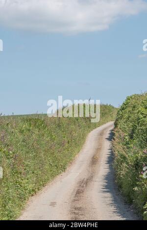 Sonnige Landstraße Cornish verschwindet in der Ferne. Metapher, was um die Ecke liegt, was vor uns liegt, Weg führt ins Unbekannte. Stockfoto