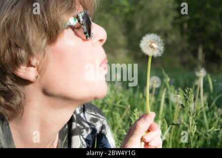 Reife Frau weht die Samen aus einem Löwenzahn.. Stockfoto