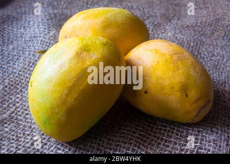 Ansicht von gelben und reifen Alphonso Mangos Stockfoto