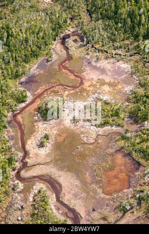 Eine Luftaufnahme von sumpfigen, wasserdurchnäßten Sumpfgebieten im Great Bear Rainforest, an der zentralen Pazifikküste von British Columbia, Kanada. Stockfoto